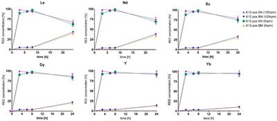 Incorporation of ionic rare earth elements as a form of microbial environmental remediation